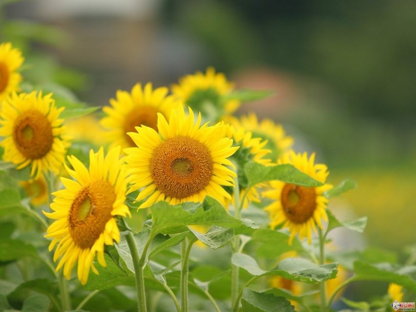 首个商品（色板超多）